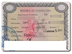 廣州專業代辦烏干達商務簽證 高效特快服務全攻略